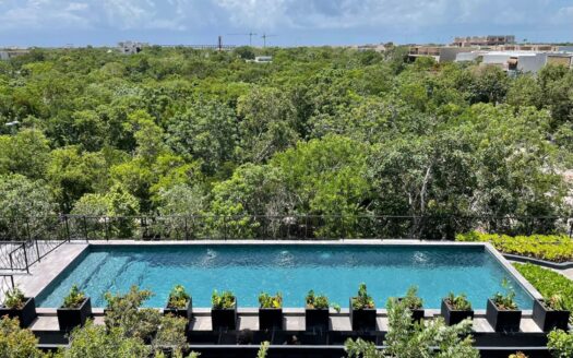 2 br appartment tulum