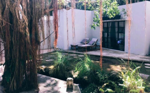 jungle house tulum